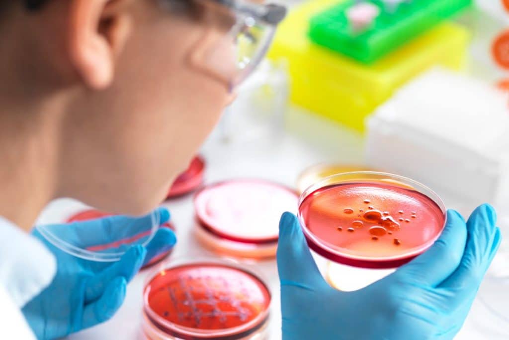 Microrganismos são capazes de degradar poluente de esgoto altamente tóxico