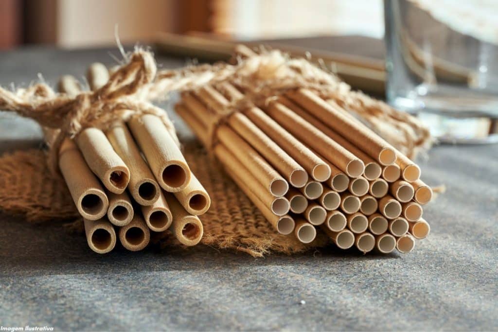 A sustentabilidade faz parte da tradição deste vilarejo na Índia