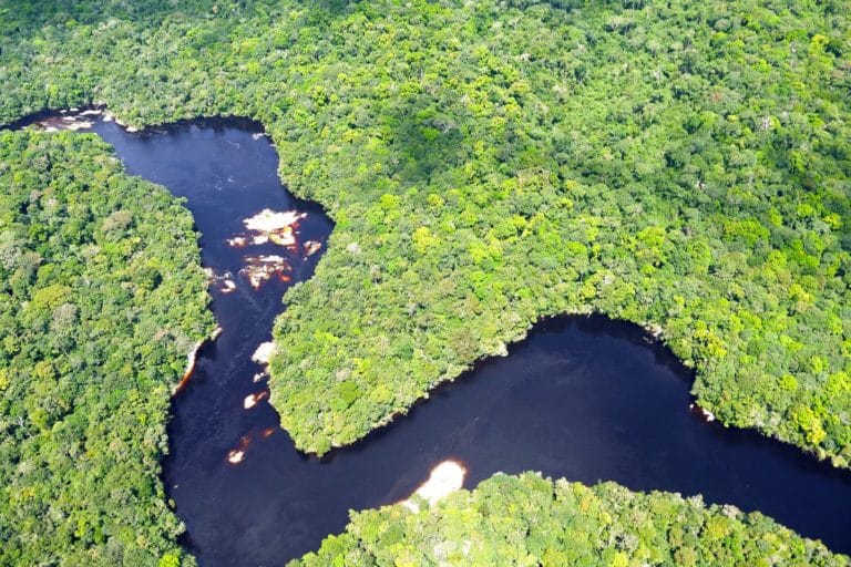 Taxa de desmatamento na Amazônia cai 22,3% em 2023
