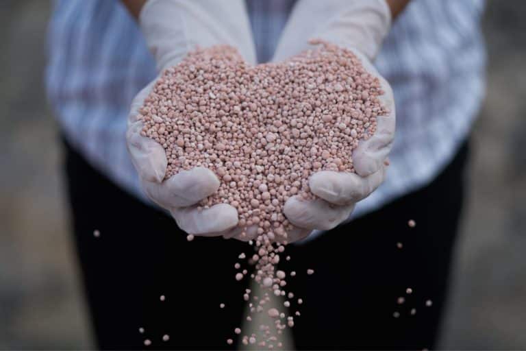 Caio Trivellato disse que vai trabalhar intensamente pela exploração do minério, hoje embargada por questão ambiental e indígena