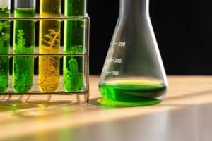 Governo lança programa para pequenas propriedades produzirem macaúba para biocombustíveis, mas sem apoio logístico