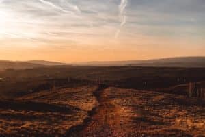Aumento alarmante da seca do solo afeta um terço do mundo, revela estudo