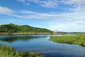 Diversidade de bactérias é maior em áreas de lagoa mais afetadas por esgoto, revela estudo