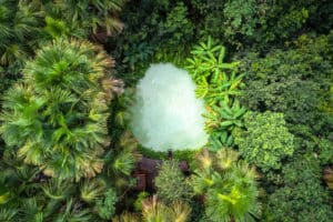 Satélite identifica cerca de 120 áreas com desmatamento ilegal no Jalapão