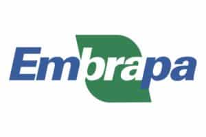 Ciplan substitui combustíveis fósseis por biomassa na produção de cimento