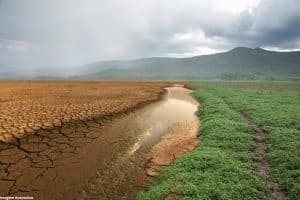 Dia Mundial do Meio Ambiente evento na USP debate crise climática e sustentabilidade