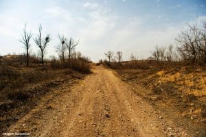 Mudanças Climáticas podem criar o primeiro deserto no Brasil
