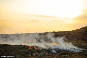 Pantanal tem junho com mais focos de incêndio da história
