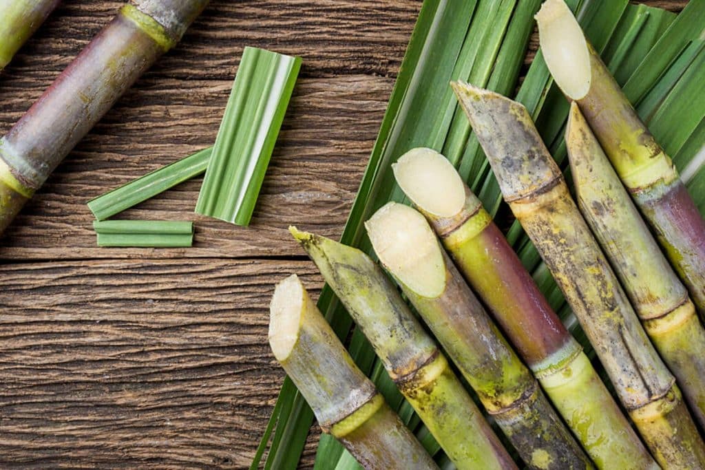 Da moenda para a célula a combustível caldo de cana é usado para produzir energia elétrica