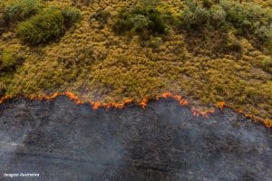 Devastado por incêndios, Pantanal pode ter crise hídrica histórica, diz relatório