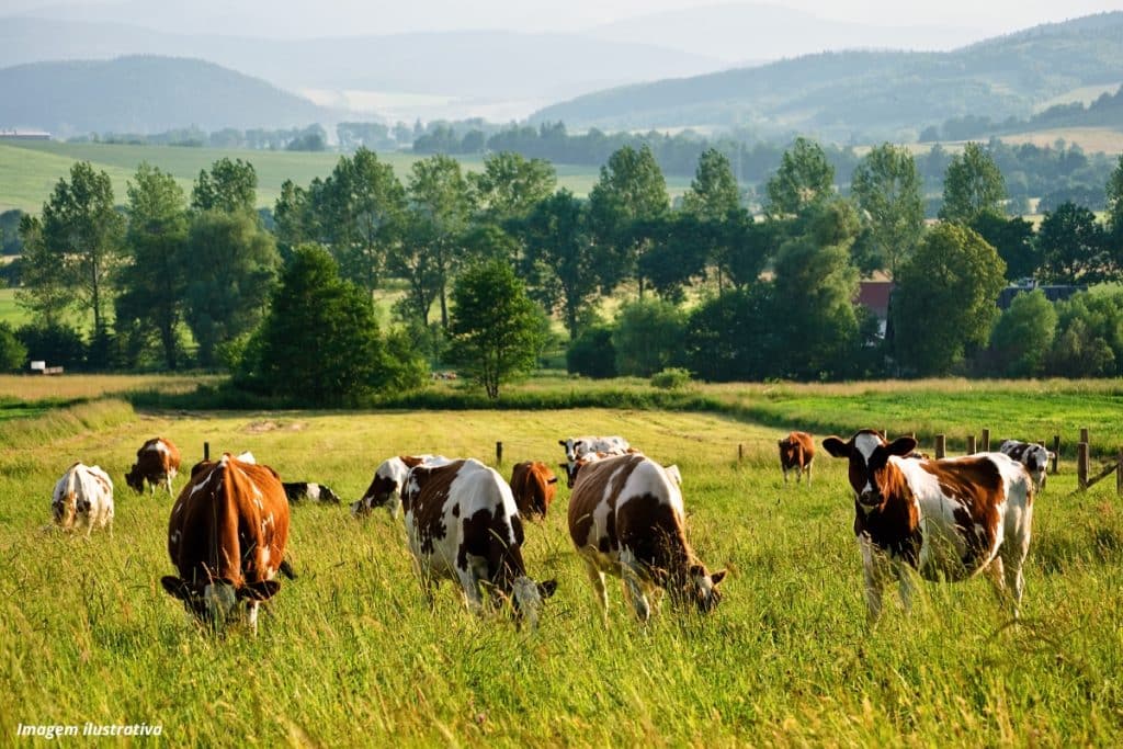 Especialistas defendem medições integradas de emissões de efeito estufa nas fazendas