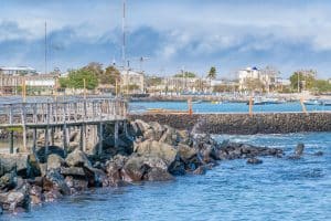 Estruturas artificiais no litoral paulista causam impactos ambientais e exigem ações urgentes; entenda