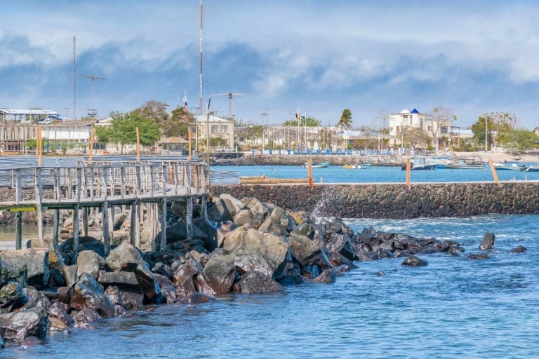 Estruturas artificiais no litoral paulista causam impactos ambientais e exigem ações urgentes; entenda