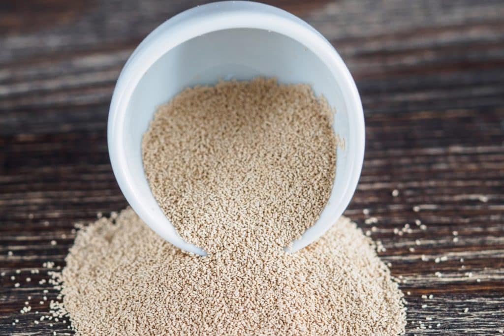 Levedura Agave Etanol