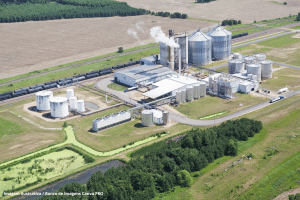 Empresa ligada a fundo Árabe vai investir 16 BILHÕES para criação de biorrefinaria na Bahia