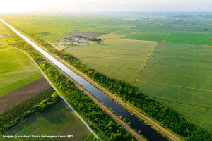 SP enfatiza sustentabilidade para o agro na abertura da feira Fenasucro & Agrocana