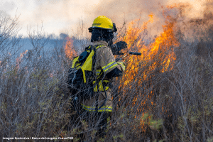 Parlamentares destinam menos de 1% de emendas para prevenir incêndios e mudanças climáticas