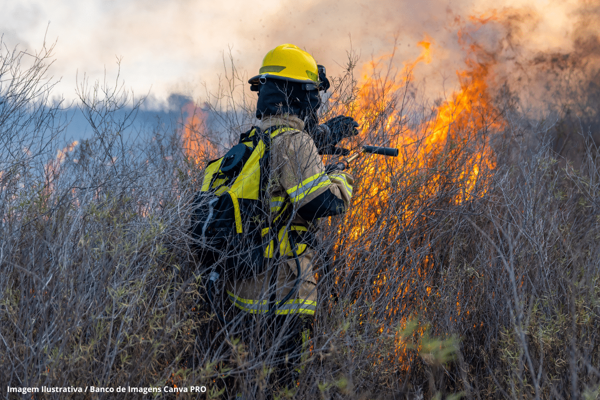Parlamentares destinam menos de 1% de emendas para prevenir incêndios e mudanças climáticas