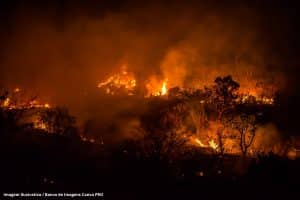 Incêndios na região da Chapada dos Veadeiros já destruíram o equivalente a 10 mil campos de futebol