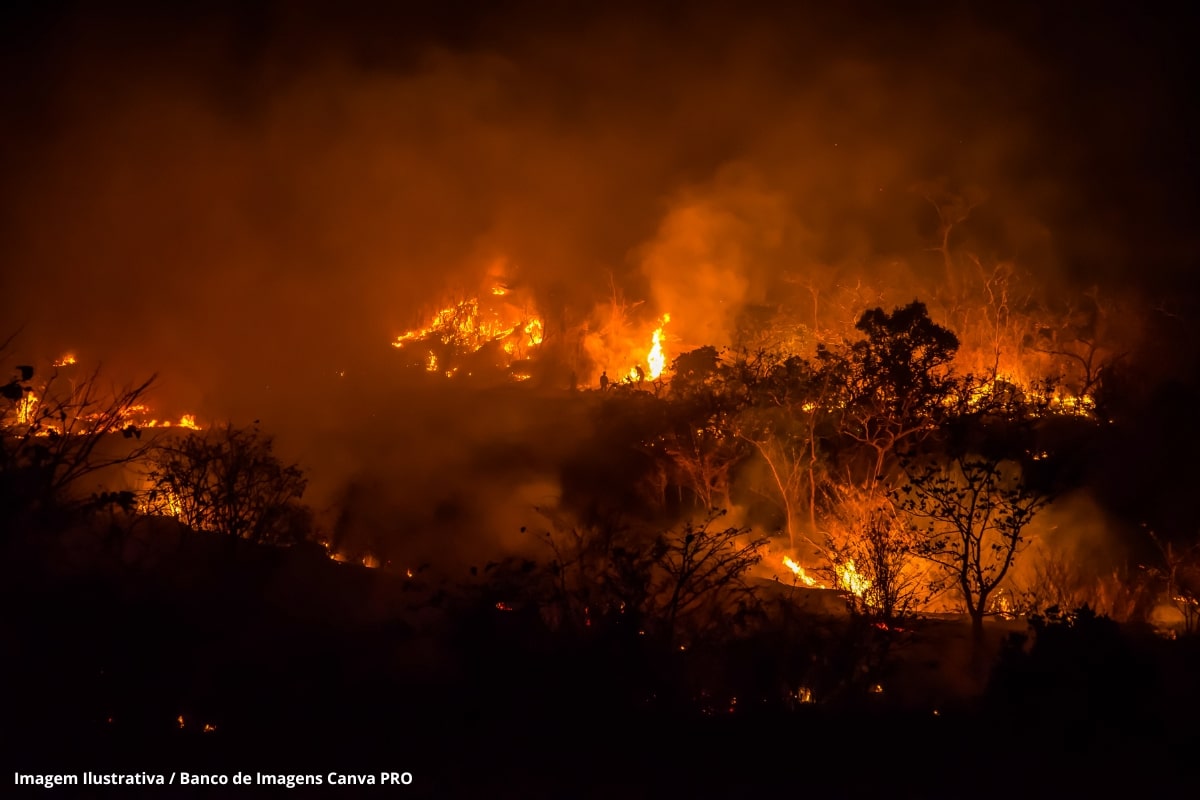 Incêndios na região da Chapada dos Veadeiros já destruíram o equivalente a 10 mil campos de futebol