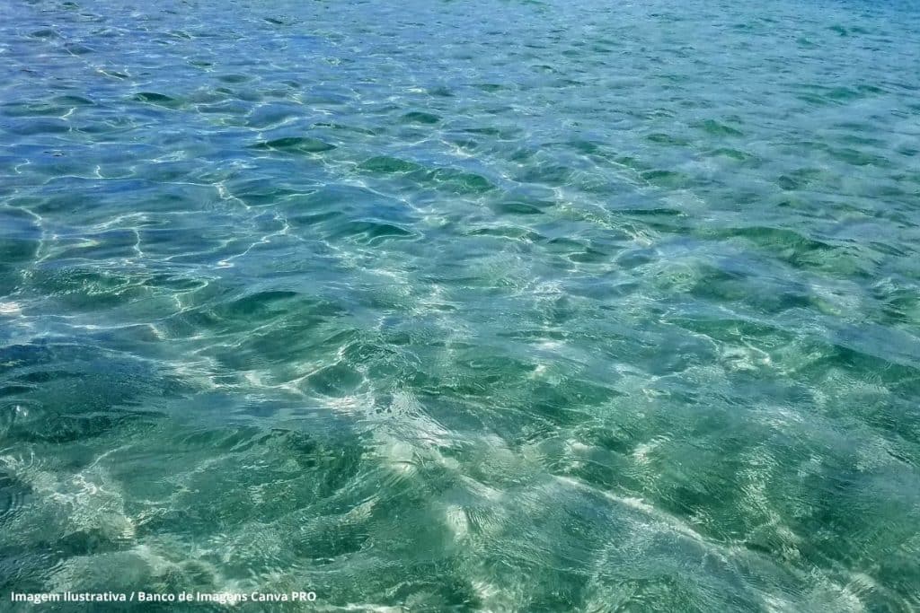 Cientistas coletam amostras de sedimento na baía de Santos para monitorar contaminação por cocaína