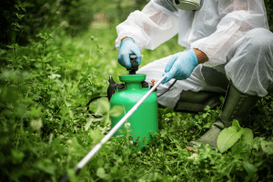 Brasil lança plano para eliminar agrotóxicos e promover bioinsumos