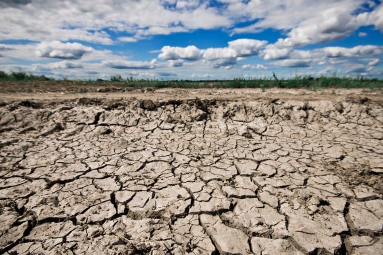 Número de cidades em seca extrema deve crescer e se aproximar de 300 em outubro, diz Cemaden