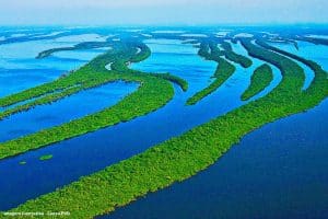 Ibama ignora parecer e segue com licença na Foz do Amazonas