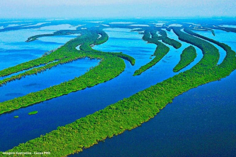 Ibama ignora parecer e segue com licença na Foz do Amazonas