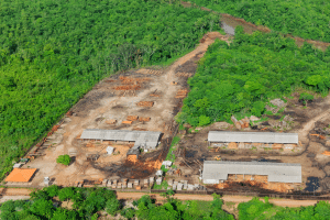 MMA e BNDES lançam primeiros editais para financiar restauro na Amazônia