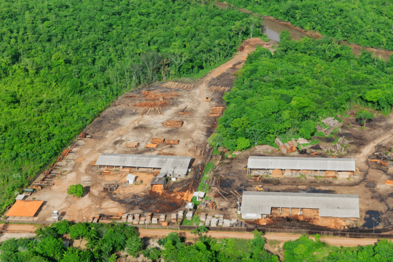 MMA e BNDES lançam primeiros editais para financiar restauro na Amazônia