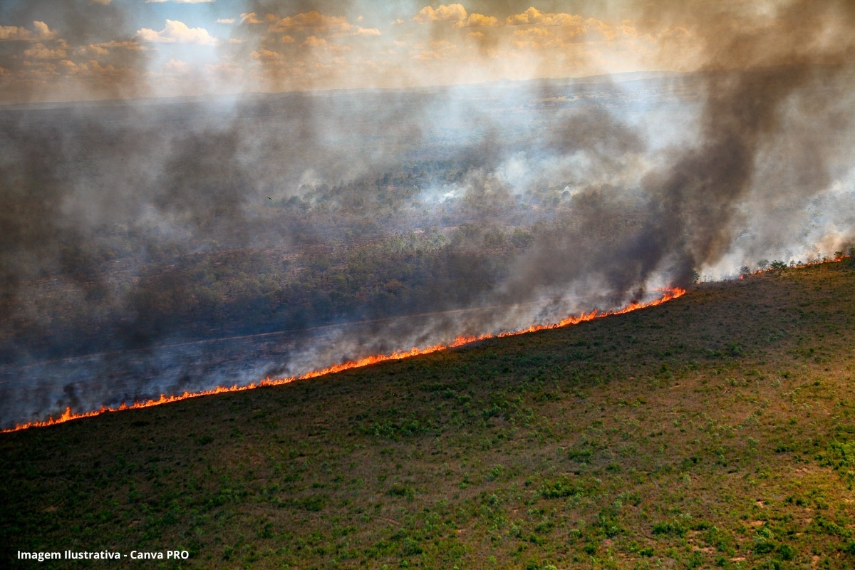 Incêndios deixam rastro de destruição em terras indígenas