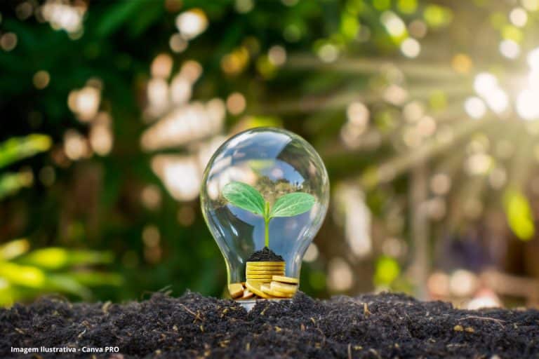 Transição energética: Senado aprova programa de incentivo a fontes renováveis