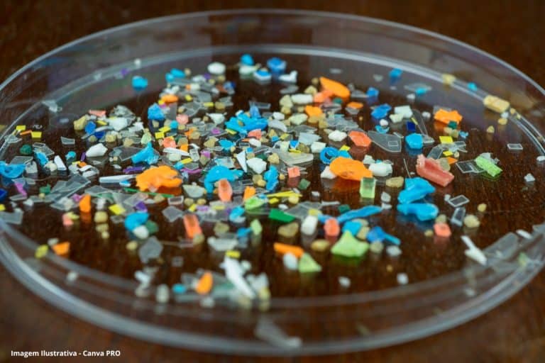 Filtro de algodão e osso de lula pode remover 99,9% de microplásticos