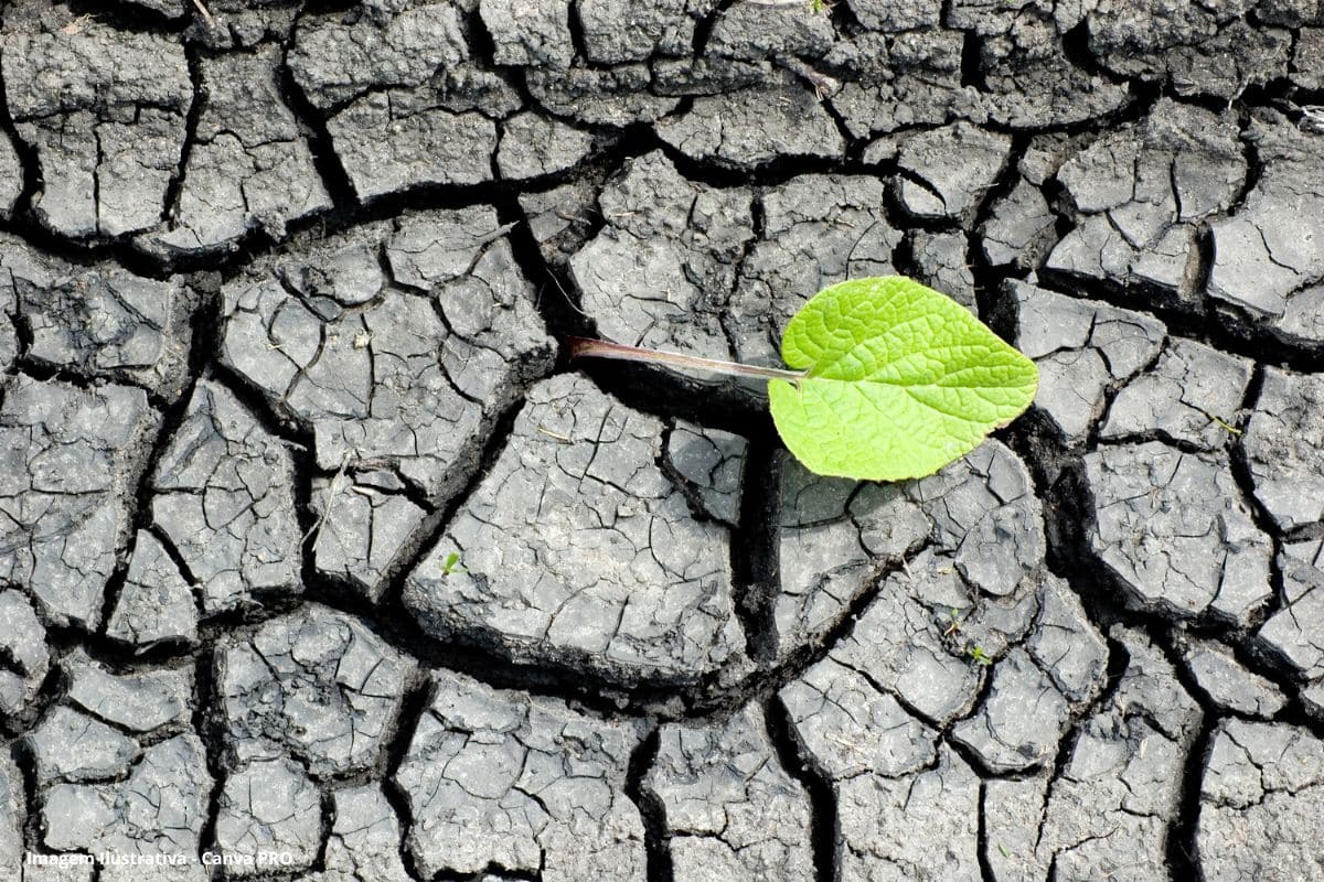 77% dos solos se tornaram permanentemente secos nos últimos 30 anos, aponta ONU