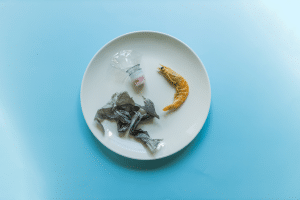 Grupo investiga a presença de microplásticos em camarões no litoral de São Paulo