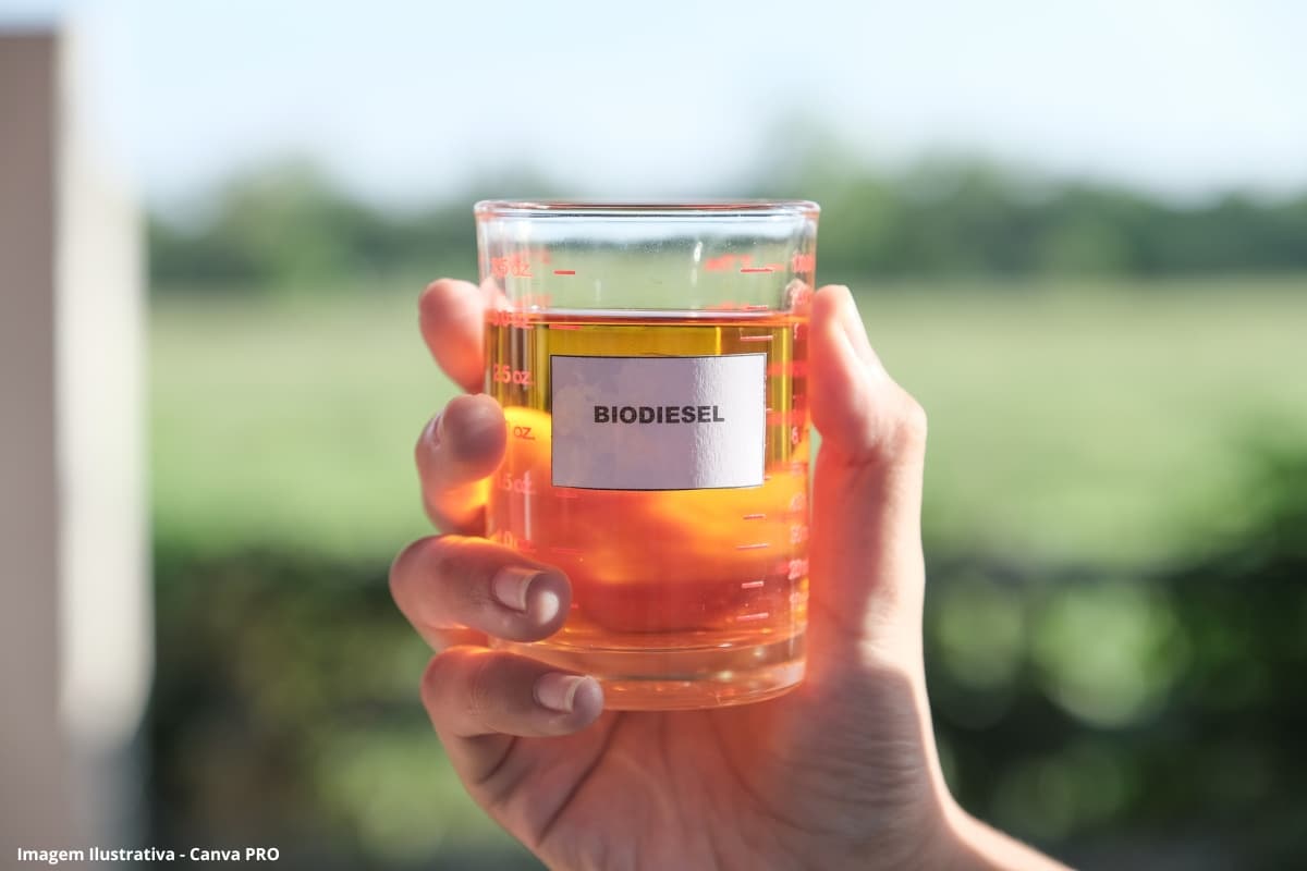 Produção de biodiesel chega a 77 bi de litros em 20 anos