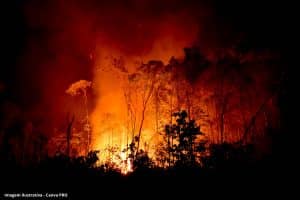 Brasil registra crescimento de quase 80% nas áreas queimadas