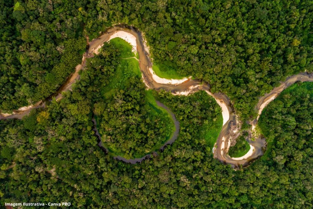 Bactérias da Amazônia podem gerar novos medicamentos