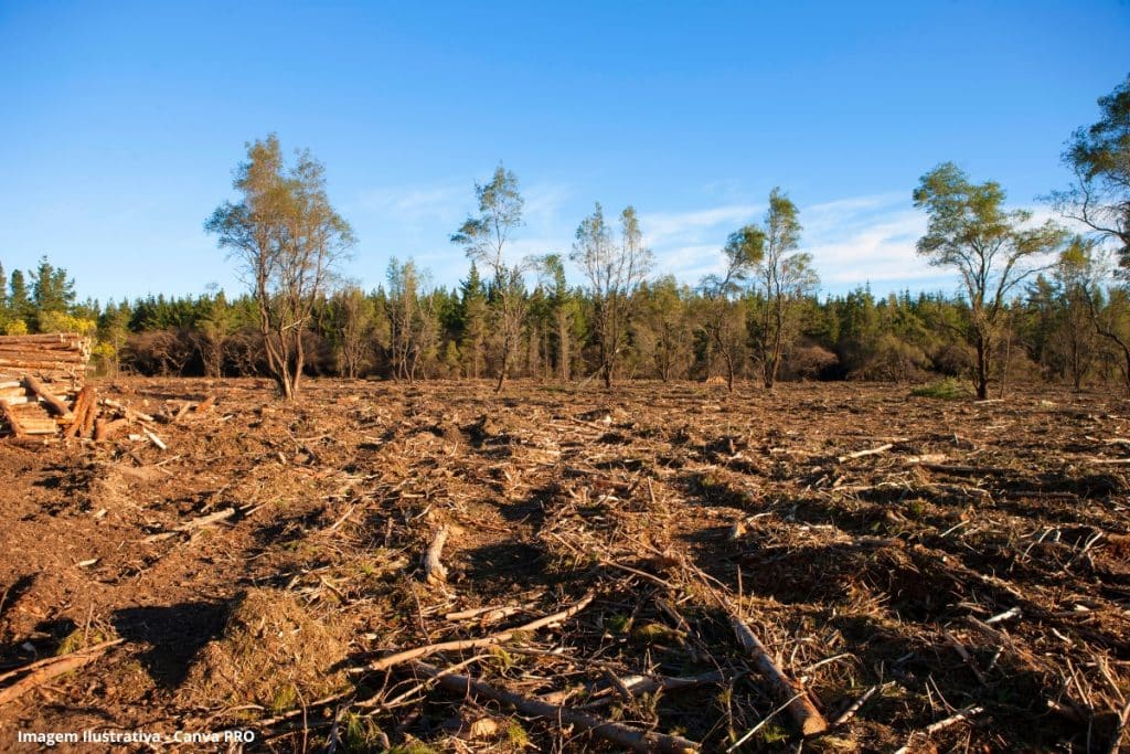 Com influência de desmatamento e mudanças climáticas, 38% dos solos da América Latina e Caribe estão degradados, diz estudo