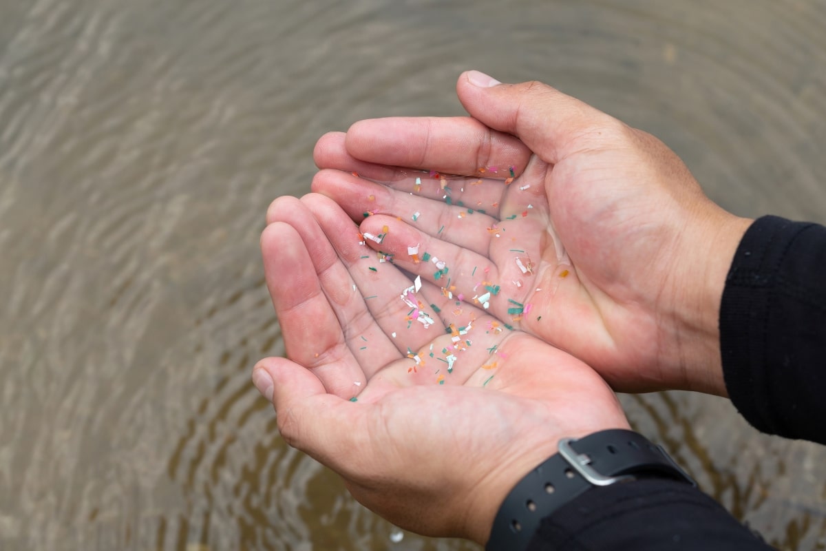 Quais são os possíveis efeitos dos microplásticos no cérebro?