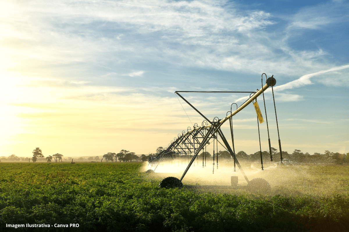 Reúso de esgoto sanitário na irrigação de culturas agrícolas
