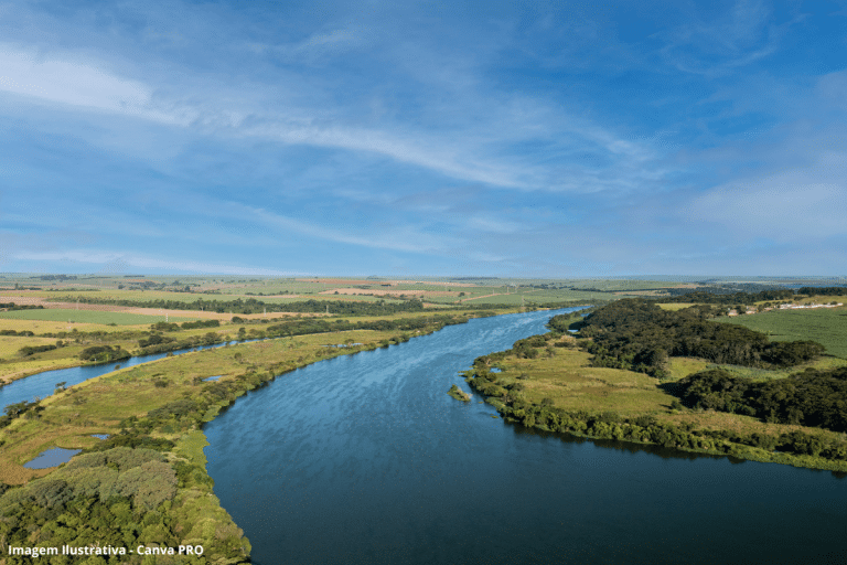Eutrofização do Tietê: Governo de SP propõe criação de Grupo de Fiscalização para coibir abusos