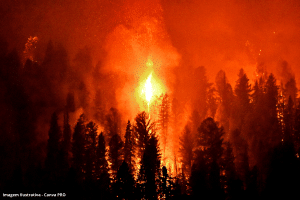 Brasil tem 1.819 focos de incêndio em fevereiro