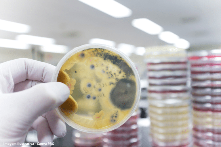 São Paulo e Pernambuco têm surto de “superfungo”, diz Anvisa