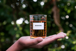 Congelamento da mistura ao óleo fóssil provoca incertezas no biodiesel
