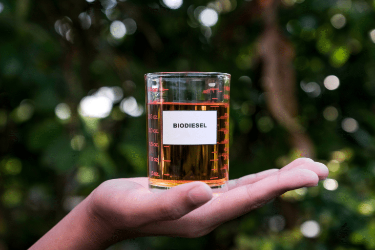 Congelamento da mistura ao óleo fóssil provoca incertezas no biodiesel