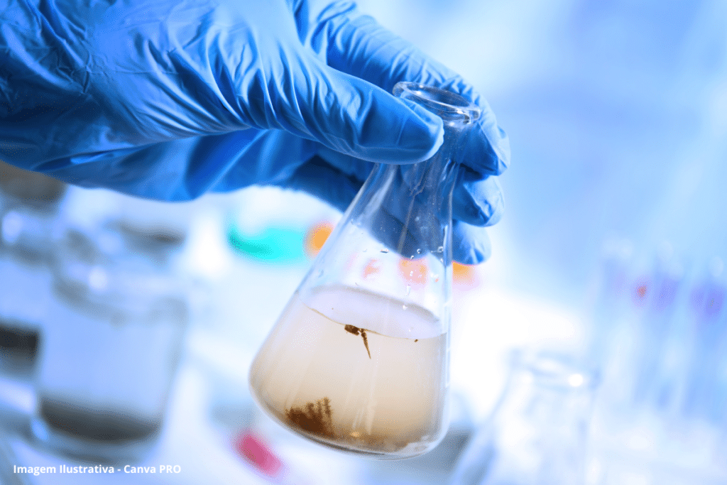 Estudos monitoram presença e impacto de contaminantes emergentes na água