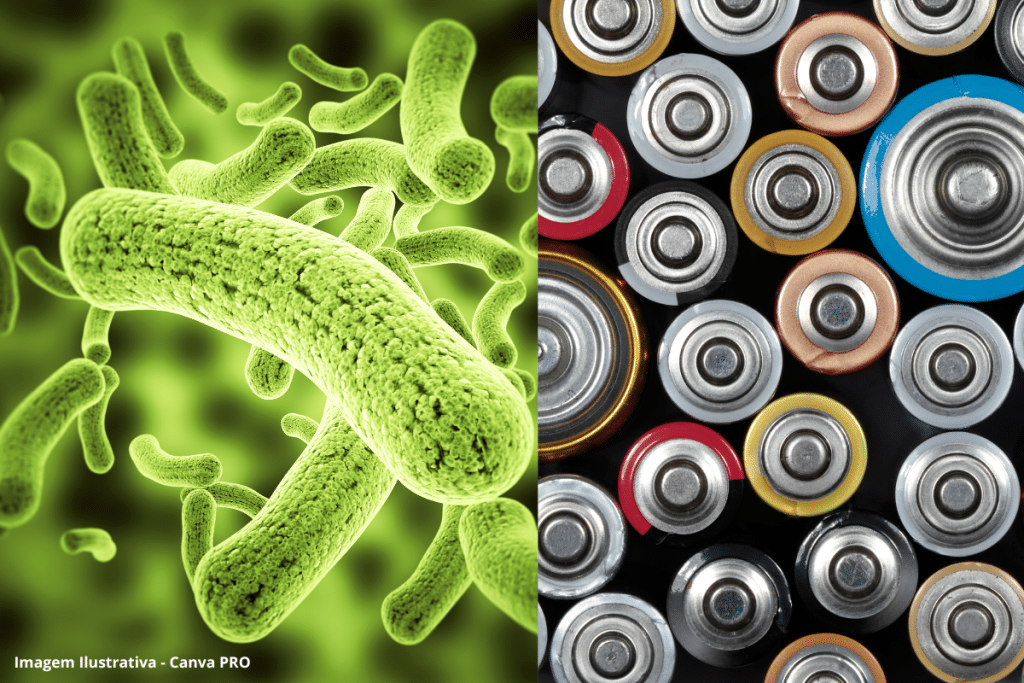 Enquanto meio mundo corre atrás de mais lítio, pesquisadores chineses tiraram o elemento da equação baterias com bactérias