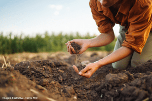 microplásticos em terras agrícolas